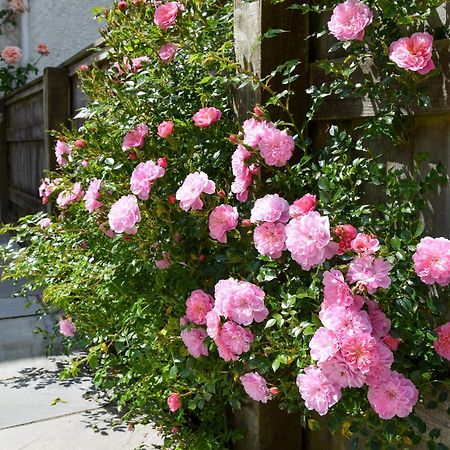 Villa Sweet Briar - 8234 Bridport Esterno foto