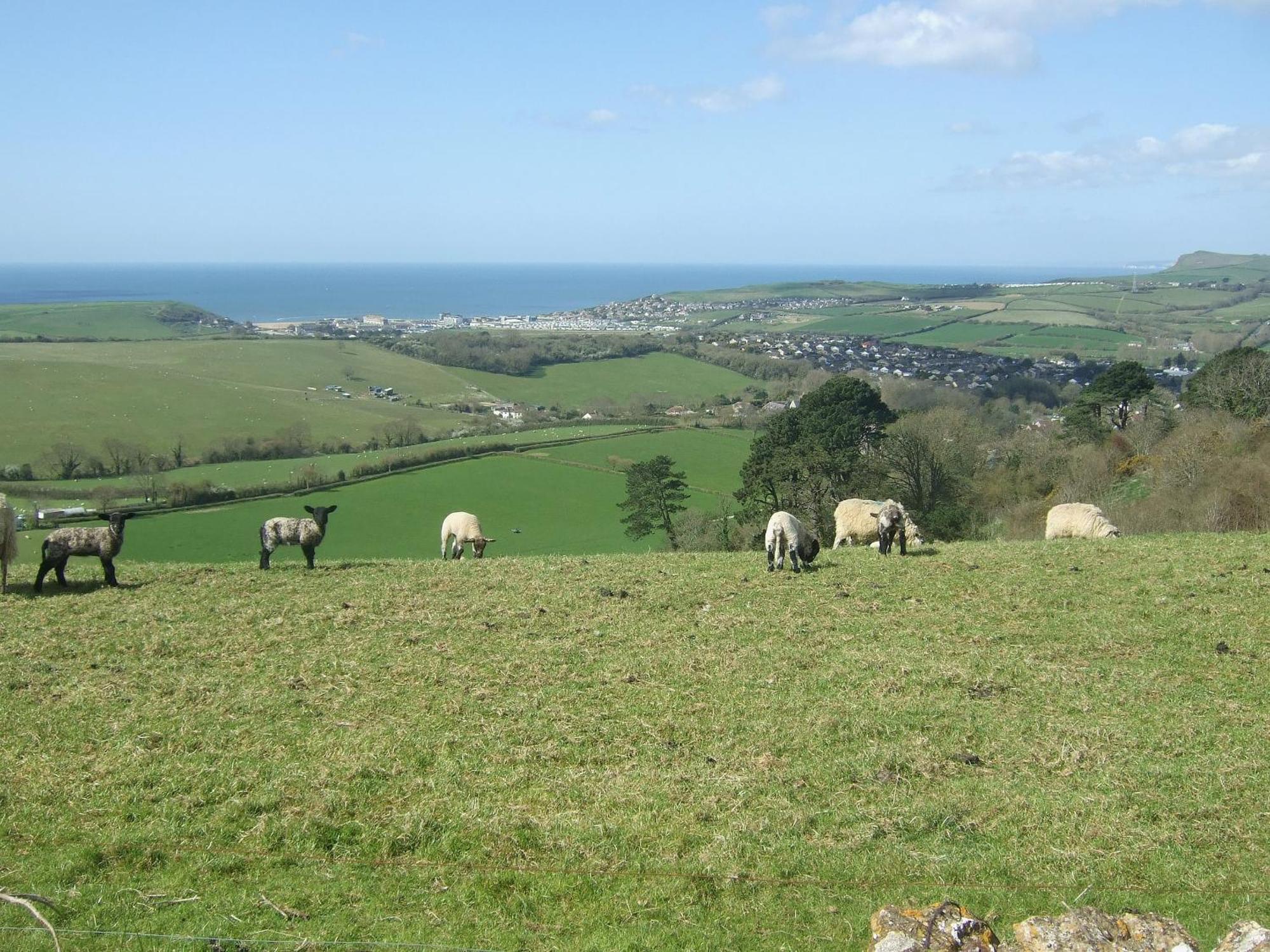 Villa Sweet Briar - 8234 Bridport Esterno foto